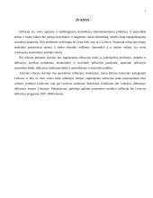 Infliacijos teorija 3 puslapis