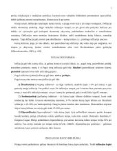 Infliacijos teorija 5 puslapis