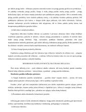 Infliacijos teorija 7 puslapis
