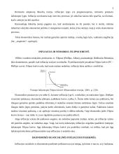 Infliacijos teorija 8 puslapis