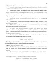 Infliacijos teorija 10 puslapis