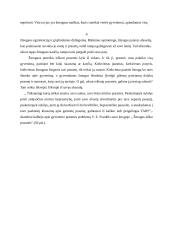 Gyvenimo prasmės problema - esė 6 puslapis