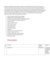 Individualus reabilitacijos planas 2 puslapis