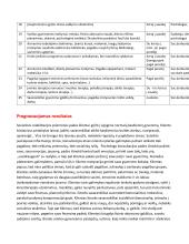 Individualus reabilitacijos planas 4 puslapis