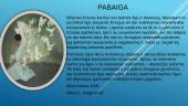 Depresija (skaidrės) 14 puslapis