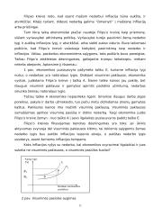 Infliacija teorijoje bei praktikoje 11 puslapis