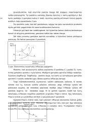 Infliacija teorijoje bei praktikoje 12 puslapis
