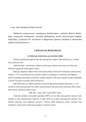 Infliacija teorijoje bei praktikoje 13 puslapis
