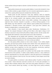 Infliacija teorijoje bei praktikoje 17 puslapis