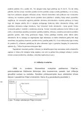 Infliacija teorijoje bei praktikoje 10 puslapis
