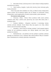 UAB „Senukai“ organizacijos vadybinės veiklos analizė 5 puslapis