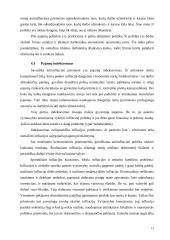 Infliacija teorijoje ir Lietuvoje 13 puslapis