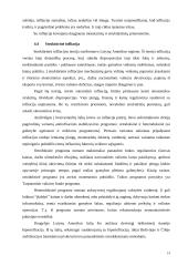 Infliacija teorijoje ir Lietuvoje 14 puslapis