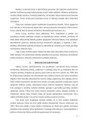 Infliacija teorijoje ir Lietuvoje 15 puslapis