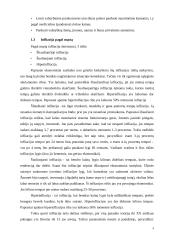 Infliacija teorijoje ir Lietuvoje 4 puslapis