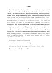 Empedokolis: keturių elementų teorija 2 puslapis