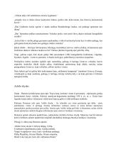 Skydo vaizdavimas senovės graikų ir Lietuvos literatūroje 3 puslapis