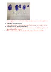 Mielių populiacijos augimo tyrimas 2 puslapis