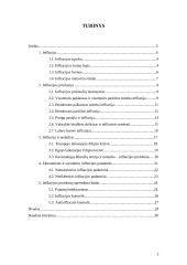 Infliacija ir jos socialinės ekonominės pasekmės 2 puslapis