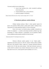Infliacija ir jos socialinės ekonominės pasekmės 11 puslapis