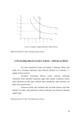 Infliacija ir jos socialinės ekonominės pasekmės 20 puslapis