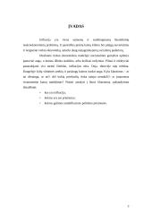 Infliacija ir jos socialinės ekonominės pasekmės 3 puslapis