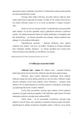 Infliacija ir jos socialinės ekonominės pasekmės 7 puslapis