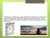 Streso įveikos priemonės 13 puslapis