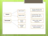 Streso įveikos priemonės 5 puslapis