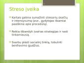 Streso įveikos priemonės 9 puslapis