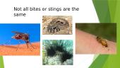 bites and stings (first aid) 3 puslapis