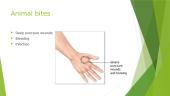 bites and stings (first aid) 6 puslapis