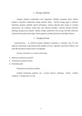 Logistika (referatas) 5 puslapis
