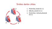 Širdies darbo ciklas. Pulsas. Kraujospūdis 6 puslapis
