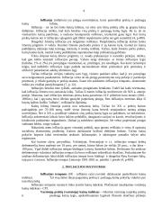 Infliacija, jos priežastys, atmainos ir antiinfliacijos priemonės Lietuvoje 4 puslapis