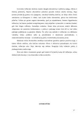 Infliacijos ir nedarbo sąveika 16 puslapis