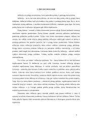 Infliacijos ir nedarbo sąveika 3 puslapis