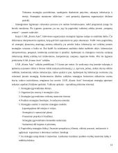 Informacijos apdorojimo vadyba: UAB "Krasta Auto" 14 puslapis