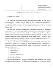 Informacijos apdorojimo vadyba: UAB "Krasta Auto" 7 puslapis