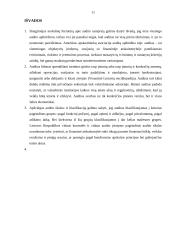 Audito reikšmė ir tikslai 10 puslapis