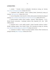 Audito reikšmė ir tikslai 11 puslapis