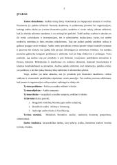 Audito reikšmė ir tikslai 2 puslapis