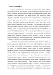 Audito reikšmė ir tikslai 3 puslapis