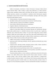 Audito reikšmė ir tikslai 5 puslapis