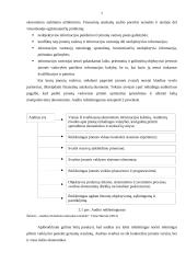 Audito reikšmė ir tikslai 6 puslapis