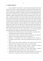 Audito reikšmė ir tikslai 7 puslapis