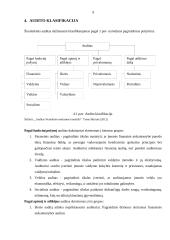 Audito reikšmė ir tikslai 8 puslapis