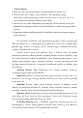 Informacijos rinkimo metodai atliekant sociologijos tyrimus 11 puslapis