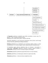 Logikos konspektas egzaminui 13 puslapis