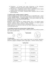 Logikos konspektas egzaminui 3 puslapis